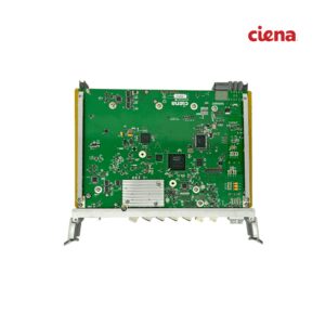 Ciena NTK553MA