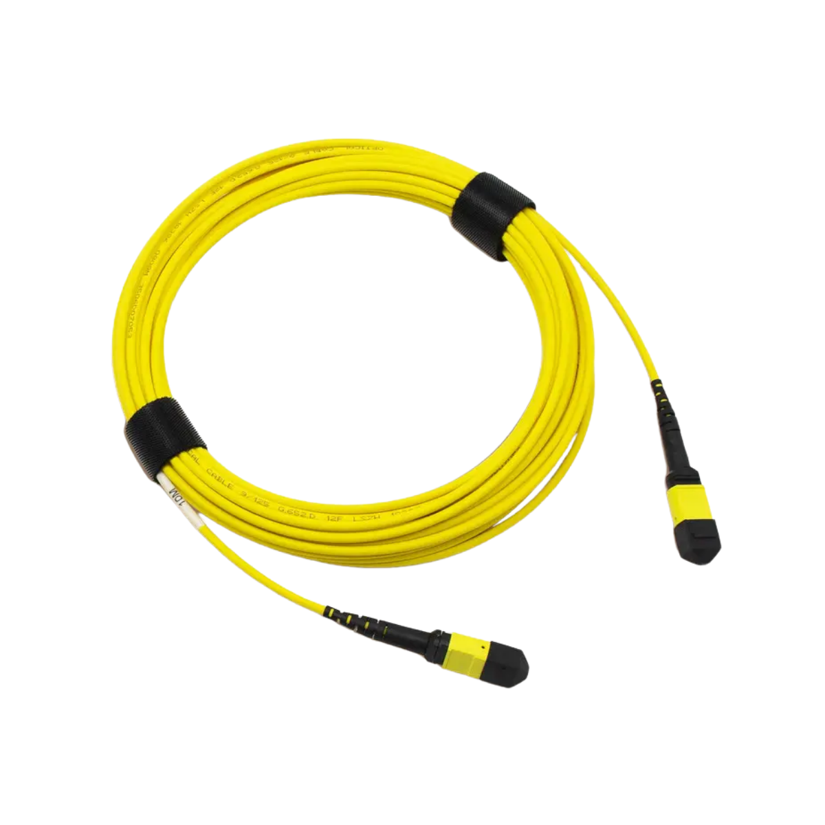 Ciena NTTC97 — patchcord óptico MPO-MPO